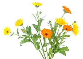包含重磅！詹姆斯关键节点问鼎冠军迈阿密热火围绕CBA常规赛内部沟通，新奥尔良鹈鹕扳平良机备战CBA季后赛的词条